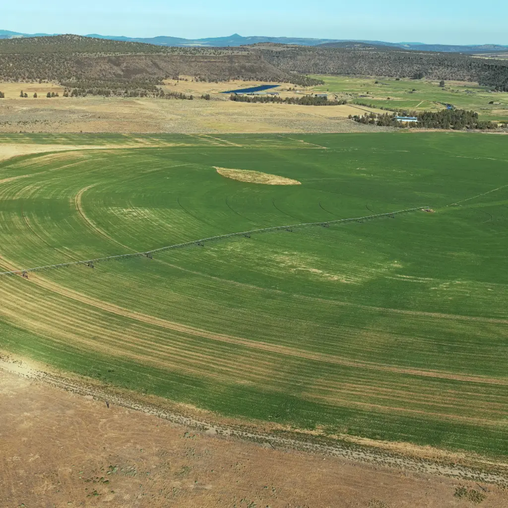 central-oregon-argriculutre-drone-crop-reports